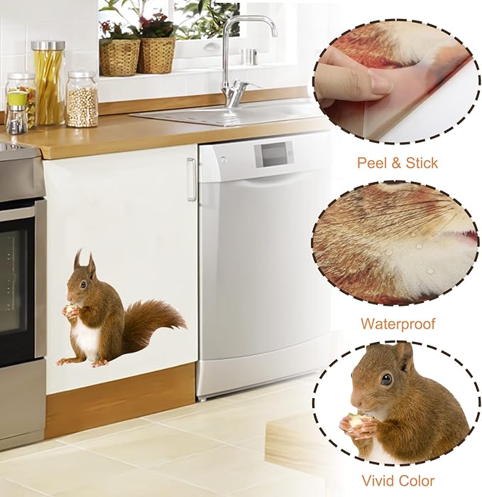 Cute Squirrel Decals Peel and Stick Vinyl Squirrel Wall Art Sticker for Bedroom Kitchen Bathroom Kids Room Decor Cafe Shop Wall Window Closet Decor