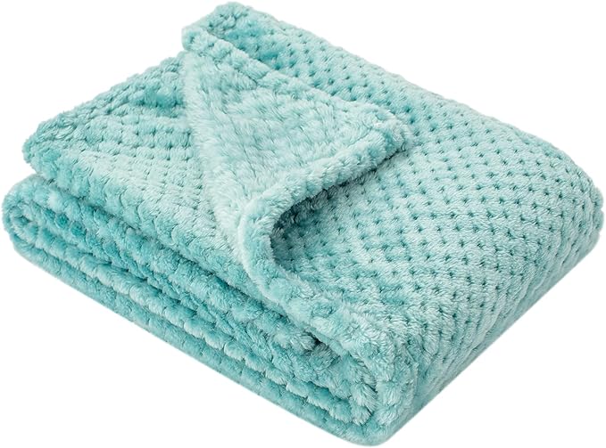 Fuzzy Blanket or Fluffy Blanket for Baby, Soft Warm Cozy Coral Fleece Toddler, Infant or Newborn Receiving Blanket for Crib, Stroller, Travel, Decorative (28Wx40L, XS-Blue Bell)