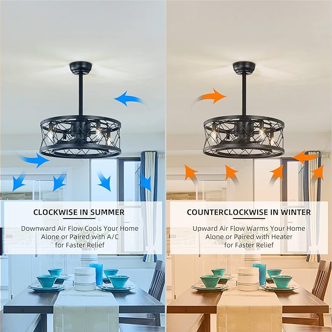 NicBex Ceiling Fan 20 Inch Indoor Modern Ceiling Fan with Lights Ceiling Fans with 5 Blades and Remote Control Small Caged Ceiling Fan for Bedroom, Living Room, Matte Black