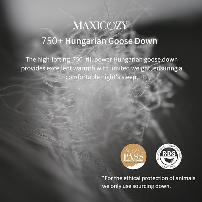 MAXICOZY Luxury Hungarian Goose Down Pillows Standard Size Set of 2, Medium Firm Bed Pillows for Sleeping, Hotel Pillow, 750 Fill Power, 460 TC Cotton Blend Shell, 20"x26"