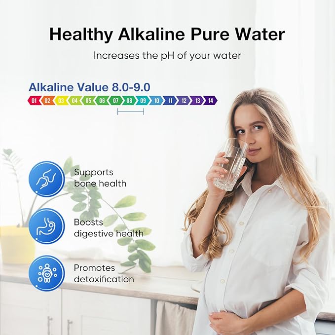 Purewell PH-2 Alkaline Filter Elements, Additional Filter Elements for PB-2/BB8-2 Purification Elements and Purewell Gravity Water Filter System, pH 8-9 (2 Pack)