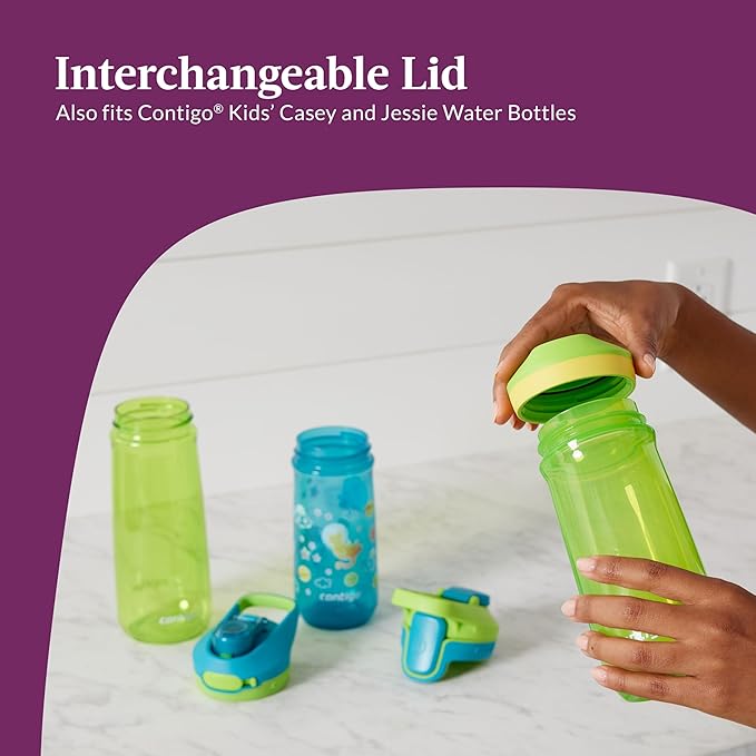 Contigo Micah Water Bottle, 20 oz, Grape/Amethyst