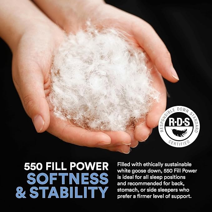 Continental Bedding Medium King Set of 2 100% White Down Pillows 30 Ounce 550FP Hotel Down Pillows for Supporting Back Side and Stomach Sleepers