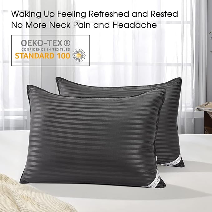 Basic Beyond Bed Pillows for Sleeping - Standard Size Pillows Set of 2 - Luxury Hotel Collection Down Alternative Pillows, Black, 20x26 Inches