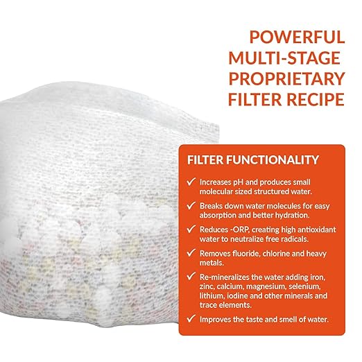 Invigorated Water pH Active Insulated Water Bottle - Filtered Alkaline Water Bottle - Stainless Steel Water Bottle - Includes Alkaline Water Filter, Plus Sports Gym Lid - Double Walled Metal - 650ml