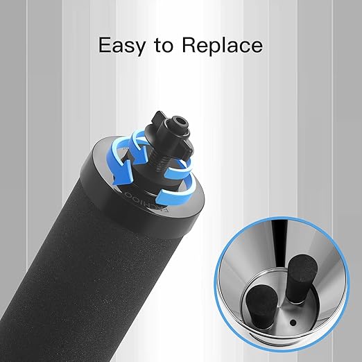 NSF/ANSI 42&372 Certified Water Filter, Replacement for BB9®-2 Black Activated Carbon Filters, Gravity Water Filter System, Black Purification Elements, Pack of 4