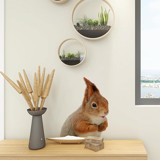 Cute Squirrel Wall Decal Peel and Stick Funny Realistic Squirrel Wall Sticker Decal for Kitchen Bedroom Playroom Game Room Farm Barn Funny Car Sticker Gift
