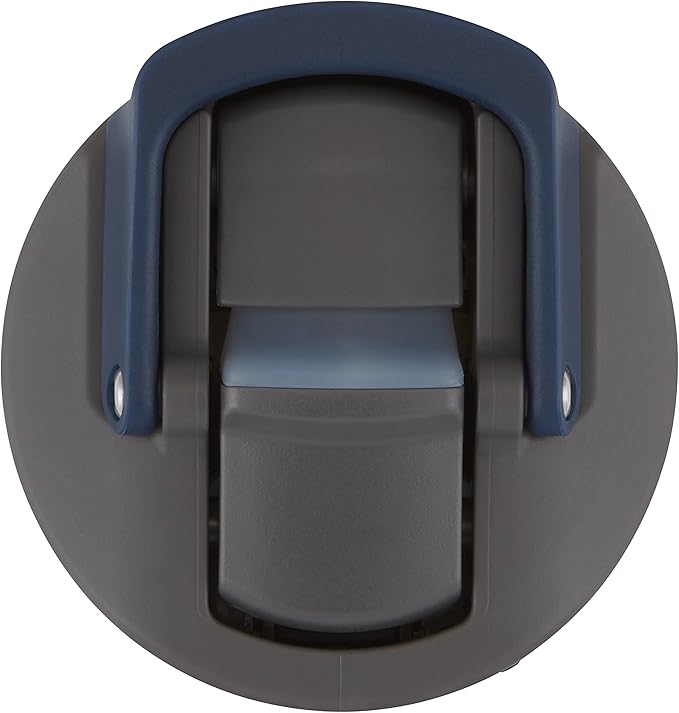 Contigo Ashland Chill 24oz Stainless Steel Water Bottle with Leakproof Lid & Straw, Smart Temperature Technology Keeps Beverages Hot and Cold, Ideal for Travel, Work, School - Silver Finish