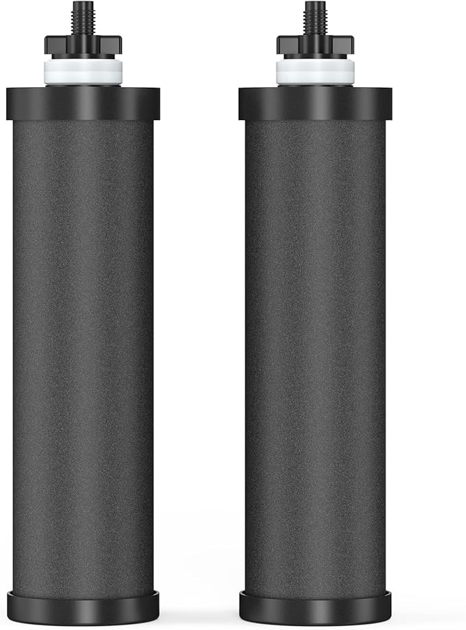 Water Filter Replacement for Berkey® BB9-2® Black Purification Elements, Activated Carbon Filters Compatible with Berkey Gravity Water Filtration System, Pack of 2