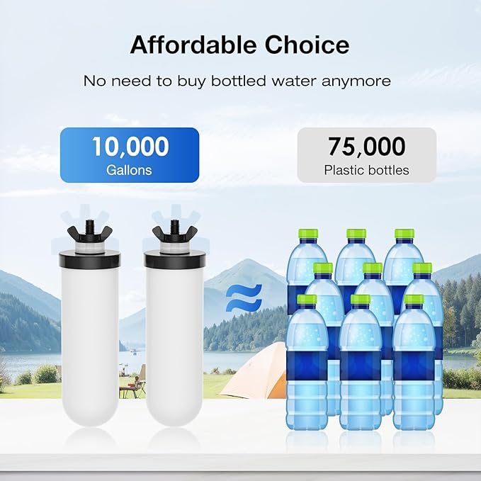 Purewell TC-2 Ceramic Purification Elements, Replacement Filters for ProOne® and Berkey® Filters, ProOne® Big+ or Berkey® Big Countertop Gravity Water Filter System and Purewell System (2 Pack)