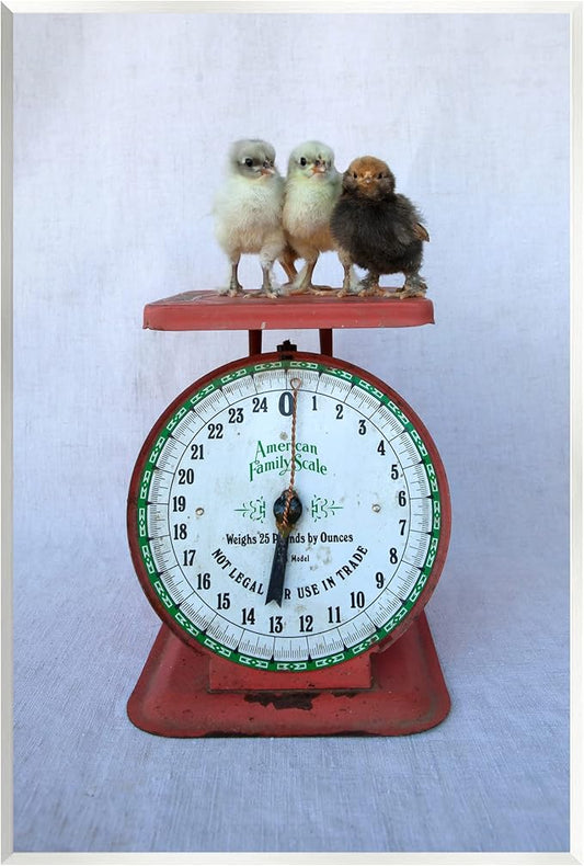 Stupell Industries Country BaBy Chick Birds on Vintage Kitchen Scale Wood Wall Art, Design By Tania Soderman