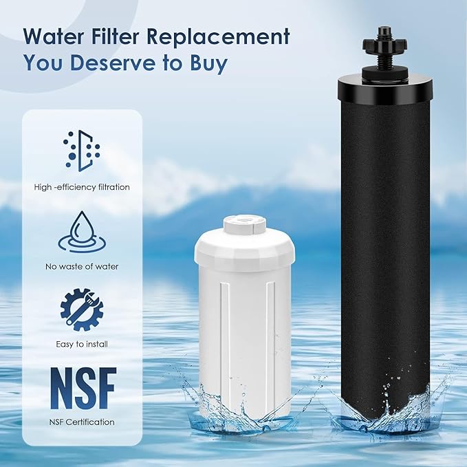Water Filter Replacement for Berkey, 2 Black Activated Carbon Filters and 2 Fluoride Filters Compatible with Berkey Big, Light, Imperial, Travel, Crown, Royal Series（4pack）