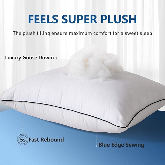 Goose Down Bed Pillow, Queen Size Bed Pillows for Sleeping, Ultra-Soft 750 Fill-Power Hotel Collection Pillow for Back, Stomach or Side Sleepers (20 * 28,Pack of 1)