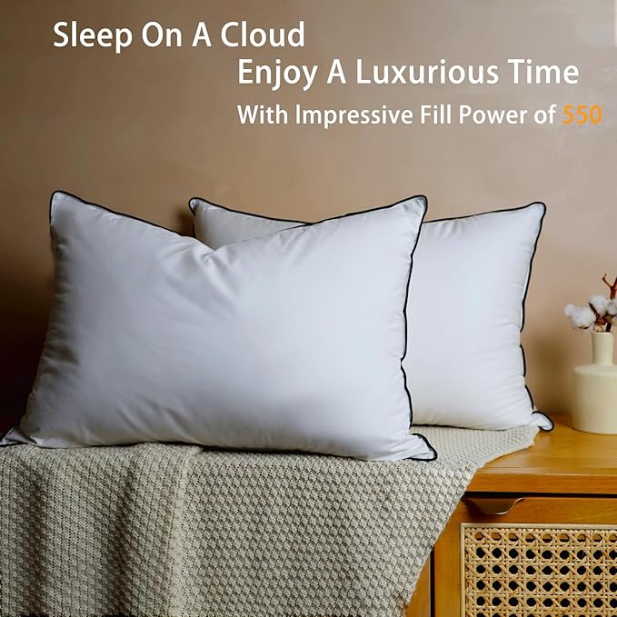 Natural White Goose Down Pillows- 550 Fill Power Down Pillow Queen Size - Soft and Support Down Bed Pillow for Back,Side,Stomach Sleepers，Queen (2 Pack ，20" x 28")