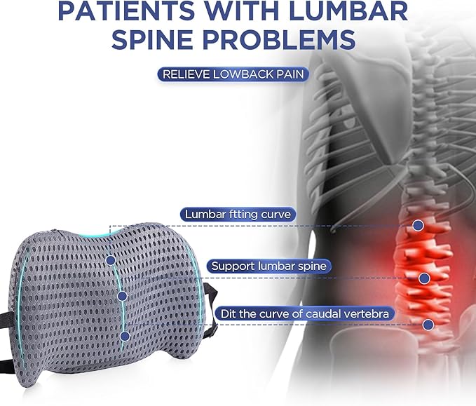 Lumbar Support Pillow for Office Chair, Car Lumbar Pillow Lower Back Pain Relief, Memory Foam Back Cushion with 4D Mesh Cover and Adjustable Straps, Ergonomic Chair Back Pillow for Car,Bed, Gaming