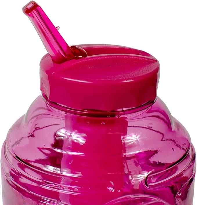 COOL GEAR 2-Pack 80 oz Big Freeze Sports Water Bottle with Freezer Stick and Handle | Hydrating Colored Water Bottle - Purple