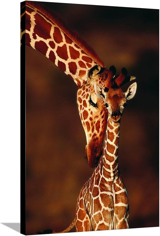 Canvas Wall Art Prints Giraffe and Baby by Lantern Press, Animals Decor, 24" x 36"