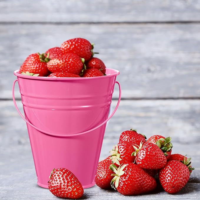 Sadnyy 12 Pack Metal Buckets with Handle, Galvanized Bucket 4.5 x 5 Inch Basket Bucket for Kids, Kids Party Supplies, Crafts for Christmas Halloween Christmas Candy Bars Vase Crafts(Pink)