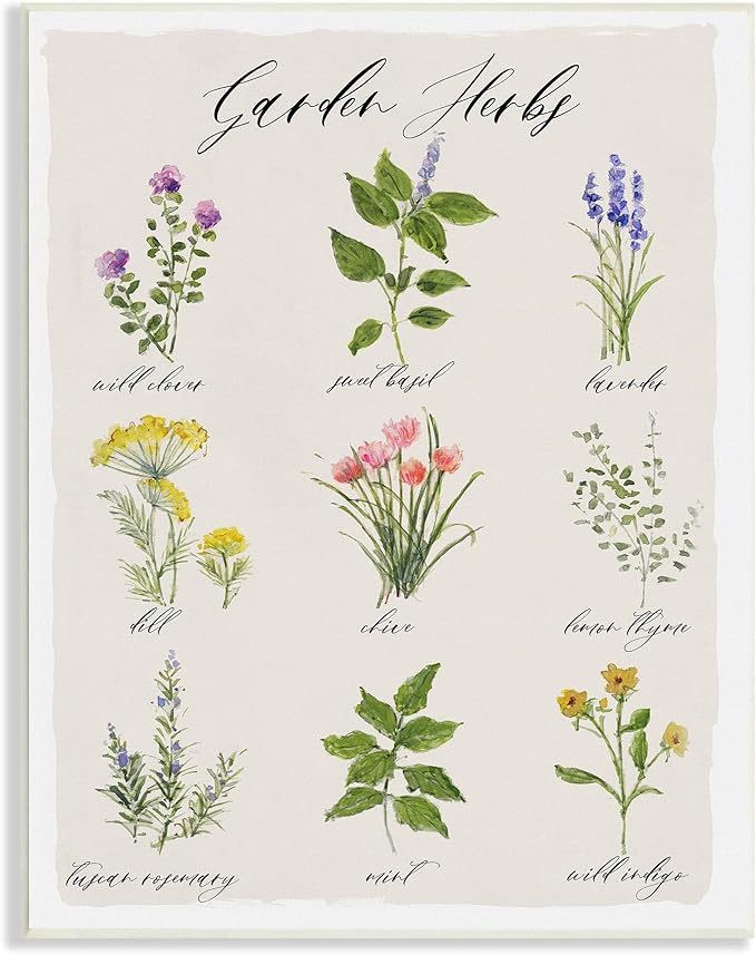 Stupell Industries Garden Herb Illustrated Chart Natural Kitchen Seasoning Wall Plaque, 13 x 19, Beige