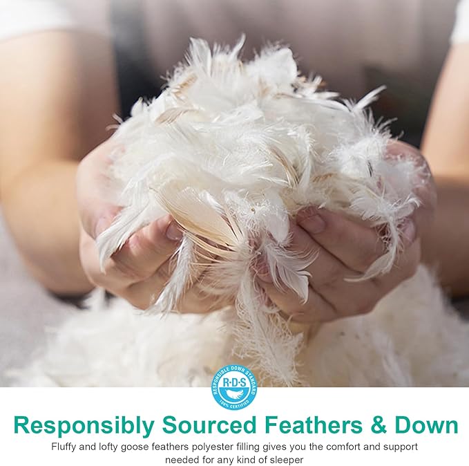 APSMILE Medium Firm Feather Down Pillows Queen Size Set of 2, Luxury Goose Feather Pillow for Sleeping, 600TC/DM Organic Cotton Cover Hotel Bed Pillow, Wrapped in Polyester (White, 20"x30")