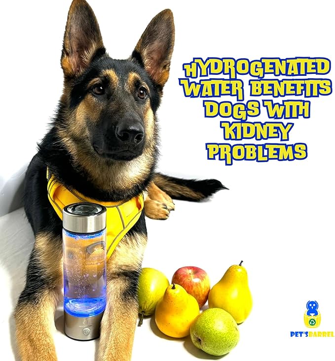 PET'SBARREL Hydrogen Water Bottle - Rapid 3-min Electrolysis Hydro Water Ionizer. Hydro water bottle. Water hydrogenator. Hydrohealth water bottle. Healthy hydration hydrogen water bottle generator