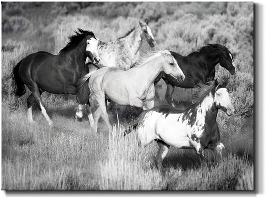 Renditions Gallery Canvas Animal Wall Art Modern Decorations Paintings Running Vintage Horses Black & White Nature Wall Hanging Artwork Prints for Bedroom Office Kitchen - 32"x48" LT33