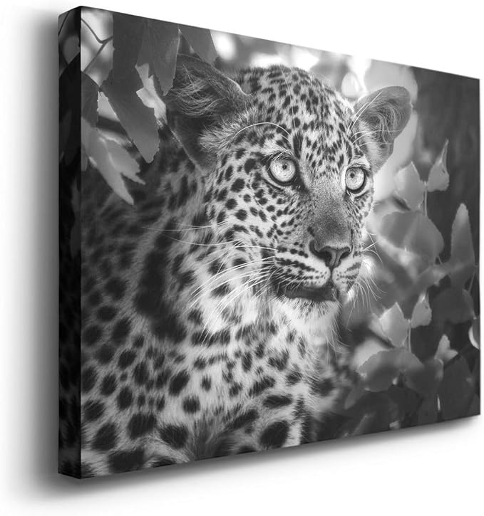 Renditions Gallery Canvas Animal Wall Art Home Paintings & Prints Vintage African Leopard Modern Black & White Safari Wall Hanging Artwork Decor for Bedroom Office Kitchen - 32"x48" LT33