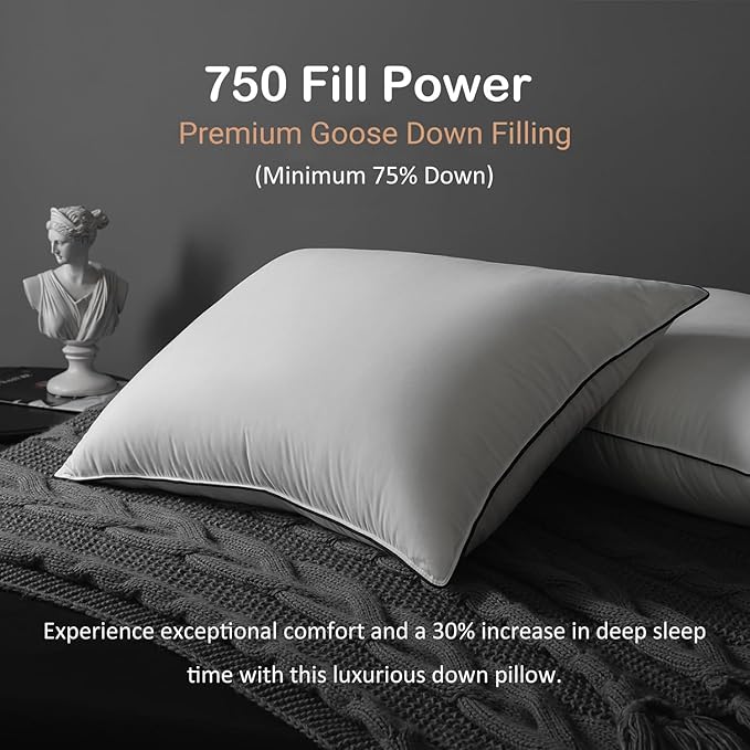 Luxury All Hungarian Goose Down Pillows Standard Size, Soft and Support Down Bed Pillow for Back,Side,Stomach Sleepers, 480 Thread Count 100% Cotton Shell, Standard Size Soft Pillow 1 Pack 20"x26"
