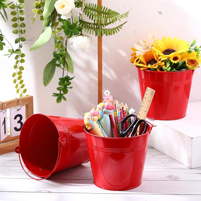 Rtteri 24 Pcs Metal Bucket, Small Metal Bucket, Party Favor Buckets with Handle, 6 x 5 Inch Ice Bucket for Kids, Flower Pot Plant Basket, Mini Toy Containers for Crafts Candy (Red)