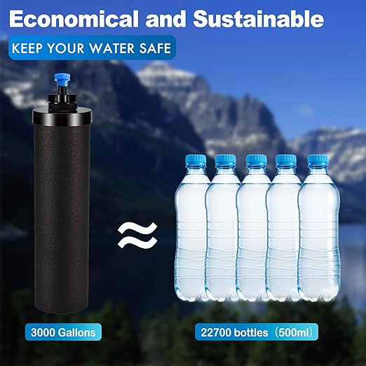 Water Filter Replacement for Berkey® Purification Elements Compatible with Berkey® Countertop Gravity Filter System Reduce Chlorine Black (Pack of 2)