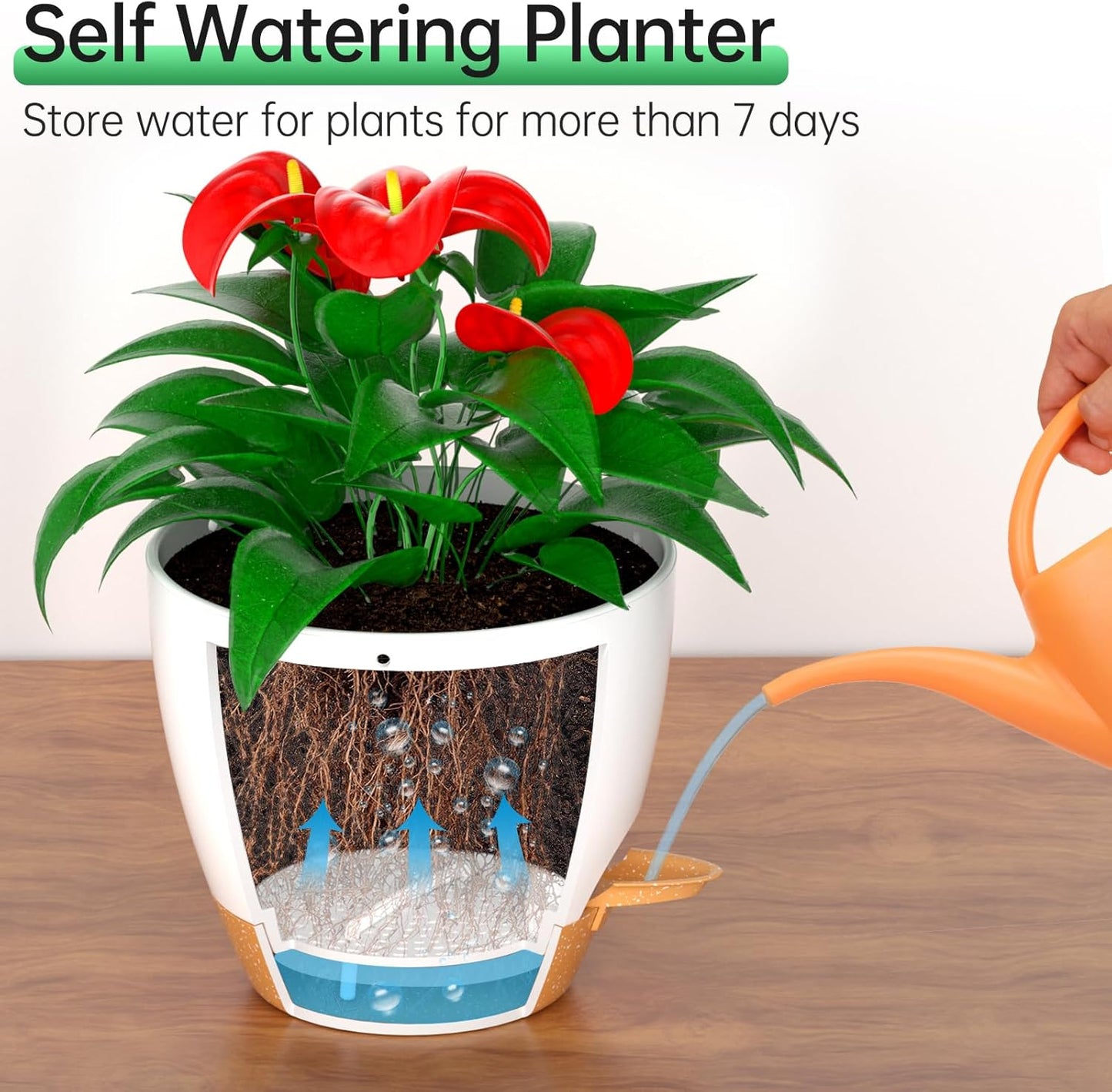 ZMTECH 8 Inch Hanging Planters for Indoor Outdoor Plants, 2 Pack Self Watering Hanging Plant Pots with Drainage Holes and Removable Saucer, Plastic Flower Hanging Pots with Watering Lip (White)