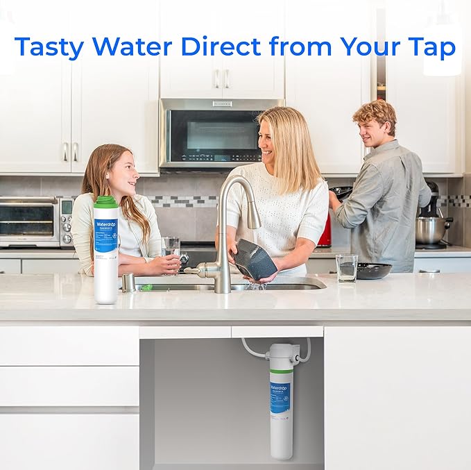 Waterdrop FQK1K Under Sink Water Filter, 1350 Gallons, Replacement for GE FQK1K, FQK2J, GXK185K and GX1S50R (Pack of 1)