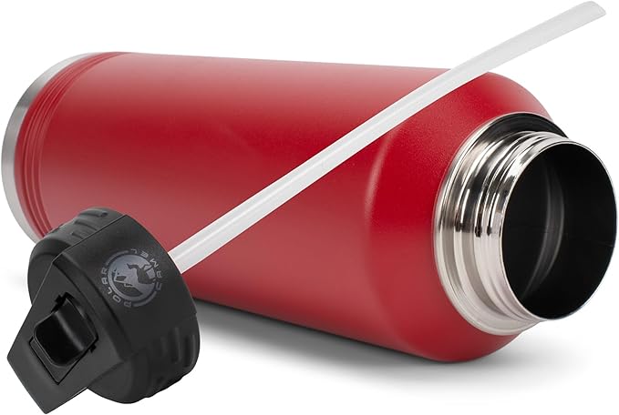 Elanze Designs Dog Dad Pawprint Red 32 ounce Stainless Steel Water Bottle With Straw