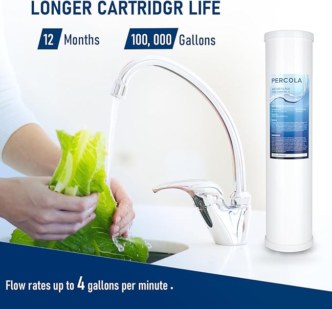 AP817-2 Whole House Filter, Fits Aqua-Pure AP800 Series Whole House water filter systems, 20 X 4.5 Inches (1 Pack)