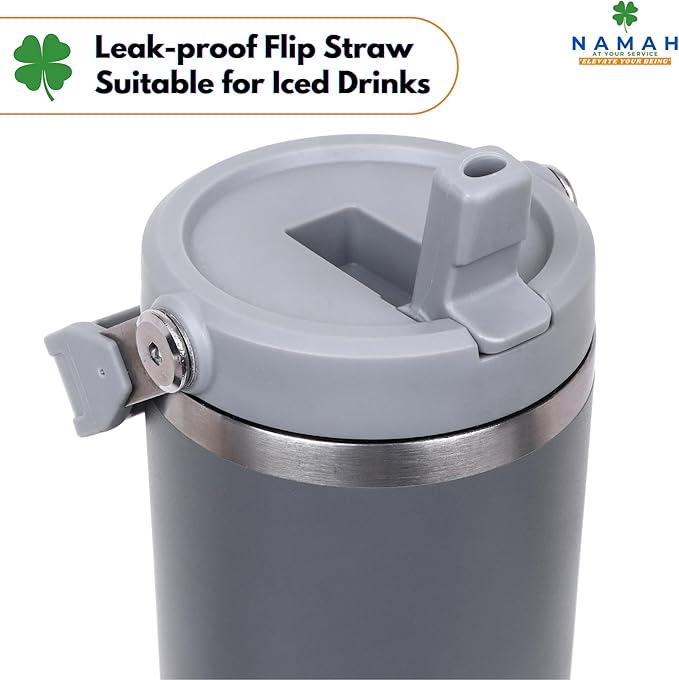 Tumbler with Handle & Extra Cloud LID – 30oz/900ml, Premium 304 Stainless Steel, Insulated Water Bottle, Leak-Proof, Steel Straw, Teddy Straw Cap, Cleaning Brush & Carabiner Hook (Stormy Slate Gray)