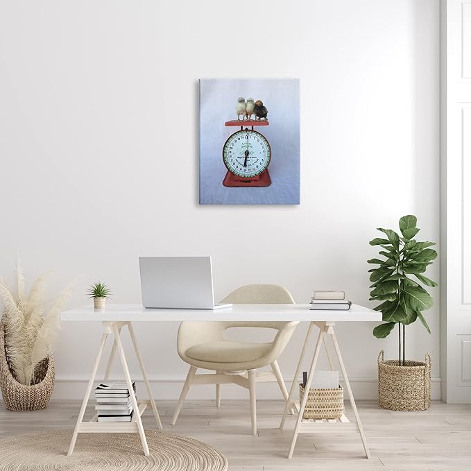 Stupell Industries Country BaBy Chick Birds on Vintage Kitchen Scale Canvas Wall Art, Design By Tania Soderman