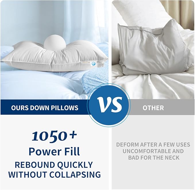 Canadian Luxury Goose Down Pillow King Size - 1050 Fill Power, 600 TC Cotton Shell- Ultra Soft and Comfort Sleep Pillows - Bed Pillows for Back, Stomach, Side Sleeper(White,King(Pack of 1))