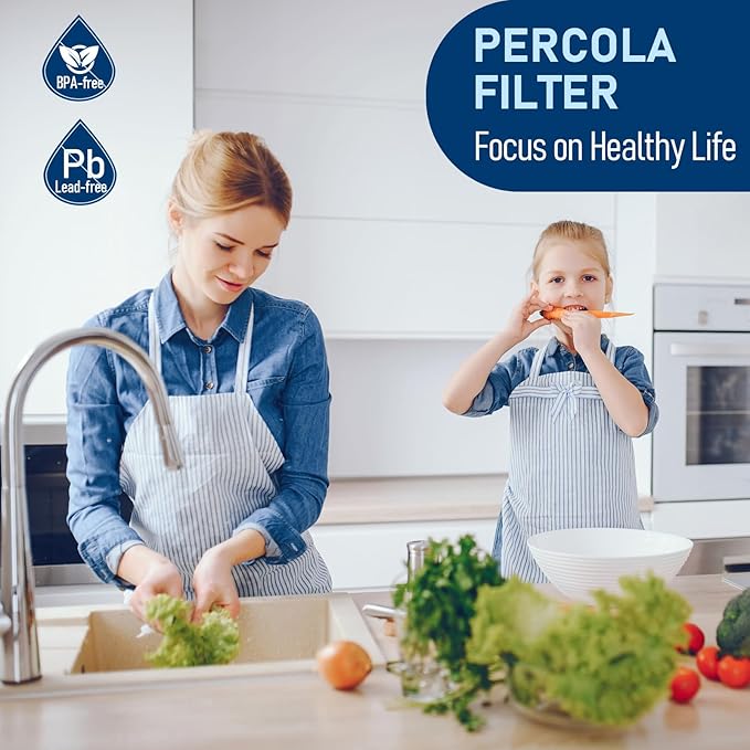 AP917HD-S Water Filter, Compatible with Aqua-Pure® AP917HD-S Whole House Sediment/CTO Filter Cartridge for 3M® Aqua-Pure® AP904 System, W/Scale Inhibitor (1 Pack)