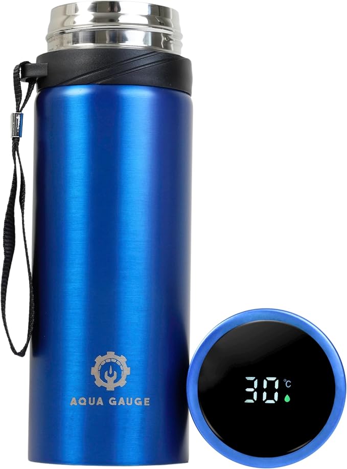 Stainless Steel Thermal Bottle, 600 mL, Digital Temperature Display, 4 Colors (Blue)