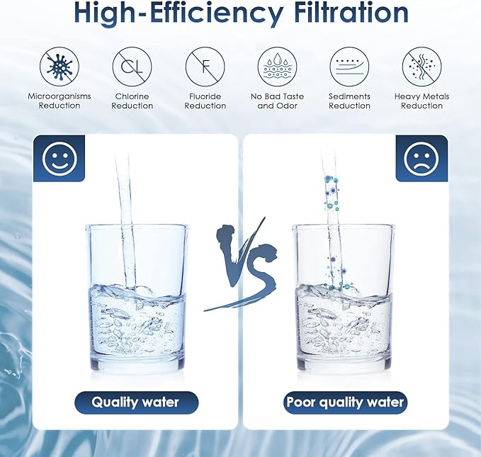 Water Filter Replacement for Berkey, 2 Black Activated Carbon Filters and 2 Fluoride Filters Compatible with Berkey Big, Light, Imperial, Travel, Crown, Royal Series（4pack）