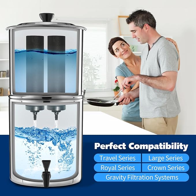 NSF/ANSI 42&372 Certified Black Filters, Replacement for Berkey BB9-2 Purification Elements Filters, Compatible with Berkey Gravity Filter System, Travel, Large, Royal, Crown Series, 2 Pack