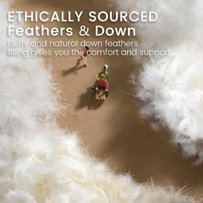 Alanzimo Goose Feather Down Pillows King Size Set of 2, Luxury Soft Feather Down Pillow for Sleeping, 600TC 100% Cotton Cover Hotel Collection Bed Pillows for Back, Stomach or Side Sleepers