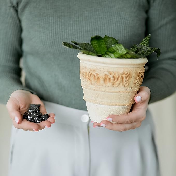 Karelian Heritage Elite Shungite Rocks for Water Purification & Filtering 0.2 lb | 0.1-0.2 oz per Stone | Certified Natural Authentic Shungite Stones from Karelia | Jewelry Making REB10