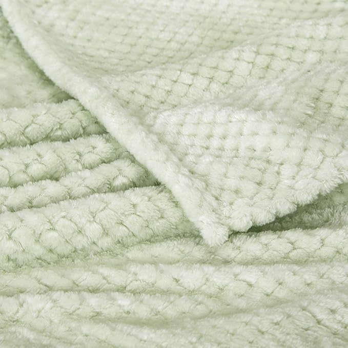 Fuzzy Throw Blanket, Plush Fleece Blankets for adults, Toddler, boys and Girls, Warm Soft Blankets and Throws for Bed, Couch, Sofa, Travel and Outdoor, Camping (Queen(80"x90"), XXL-Pastel Green)