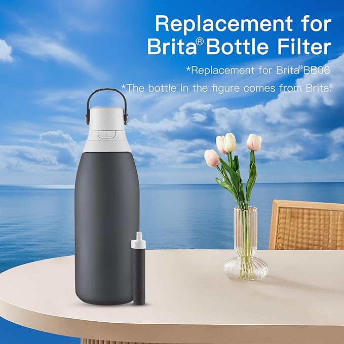 Water Bottle Filter, Replacement for Brita® BB06, Brita® Hard Sided, Stainless Steel and Plastic Bottle Filter, Reduces Chlorine, BPA-Free, Last Up to 2 Months or 40 Gallons (Pack of 2)