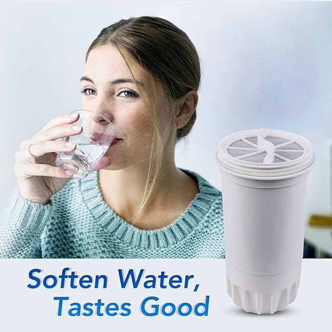 ICEPURE NSF53 6-Stage Pitcher Water Filter Replacement for Zero Pitchers ZR-017, ZR-001, ZR-003, ZR-004, ZR-006, ZR-008, ZR-012, ZR-600,0-TDS 2PACK