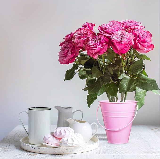 Sadnyy 12 Pack Metal Buckets with Handle, Galvanized Bucket 4.5 x 5 Inch Basket Bucket for Kids, Kids Party Supplies, Crafts for Christmas Halloween Christmas Candy Bars Vase Crafts(Multicolored)