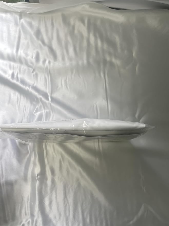 Honeydew Queen Side Pillow Case - Fits The Scrumptious and Essence Curved Pillows for Side Sleeping - Comfortable and Soft Cooling Viscose Made from Bamboo Fabric - Queen Size (Powdered Sugar White)