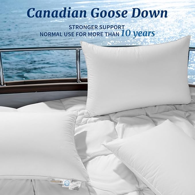 Canadian Luxury Goose Down Pillow King Size - 1050 Fill Power, 600 TC Cotton Shell- Ultra Soft and Comfort Sleep Pillows - Bed Pillows for Back, Stomach, Side Sleeper(White,King(Pack of 1))