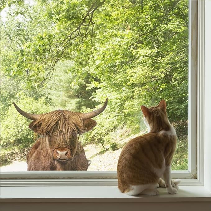 Funny Animal Wall Decal Removable Highland Cow Wall Art Sticker Farmhouse Wall Decor Scottish Rustic Cattle Wall Mural Sticker Funny Christmas Gift Animal Door Window Decals